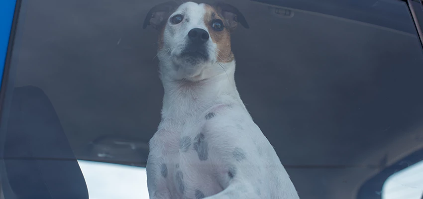 Car Lockout Solutions in Capitola, California